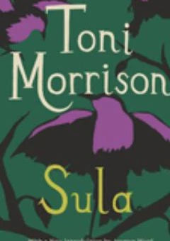 Sula